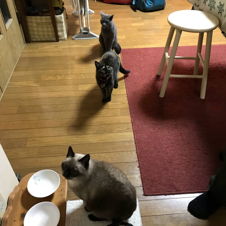 5bdac5d0 2a8b 4f03 bd85 7cc769d781aa 1509147259361