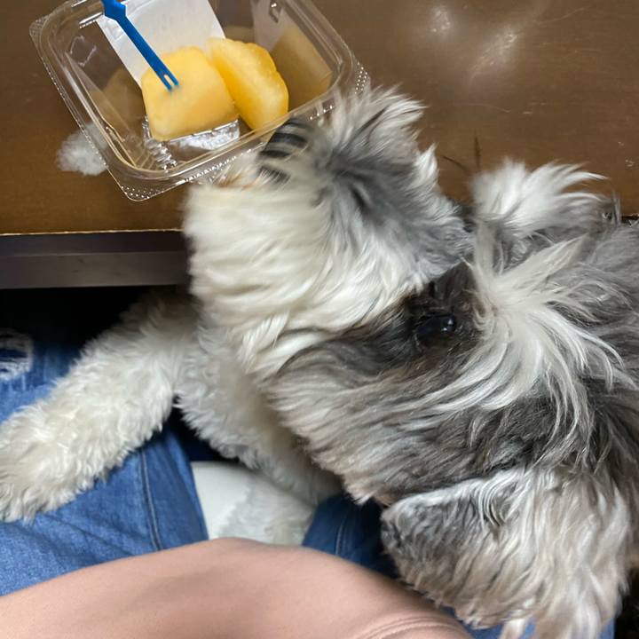 5bdad1ae 206b 4f5e be20 f4e6cb02bd12 1587133430151