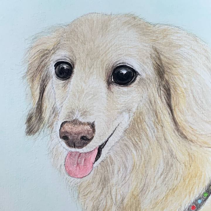 5bdad2df 9604 4bcb 811a 1a38729f70c5 1694829244666