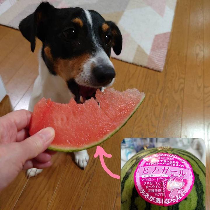 5bdaf443 7d4a 49ae 8d50 088e189e8180 1685883103388