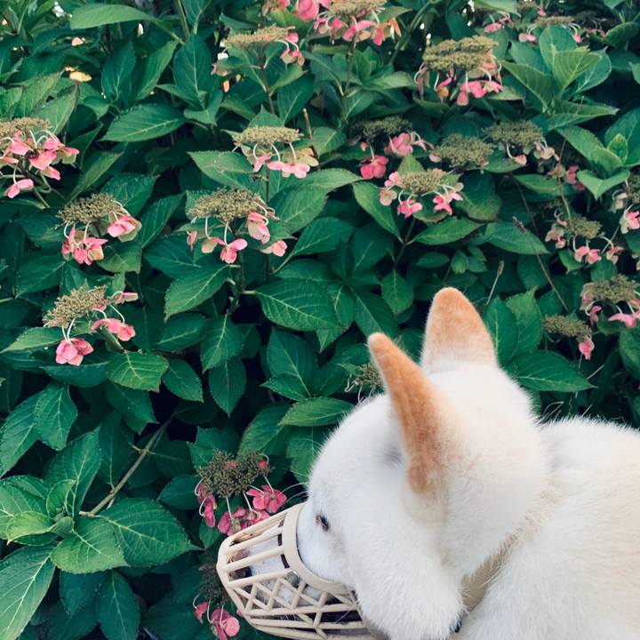 5bdb27be f190 4492 bcfc edb587cf0236 1601329525340