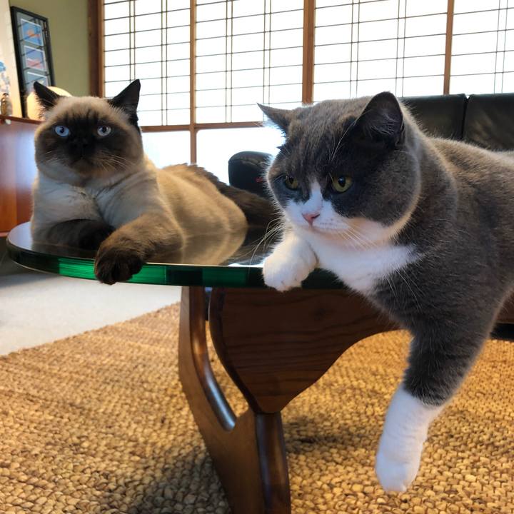 5bdb5cb4 0b70 49cc ba4a 71cb07006186 1596589674924