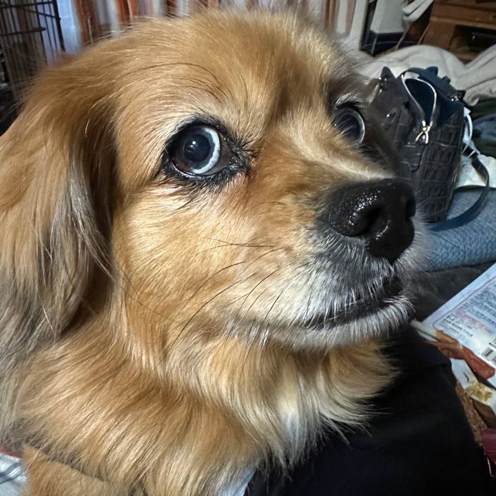 5bdb9df4 11ac 4fa9 9aca 99265f138daf 1740000024978