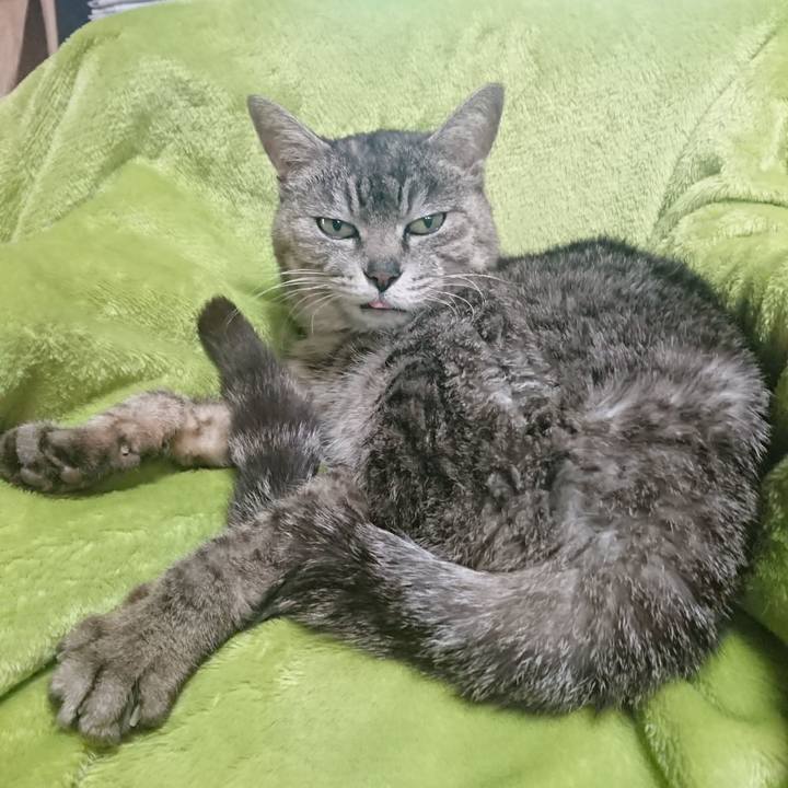 5bdbb1bf 48de 4176 b95f 03915305b318 1588025027497