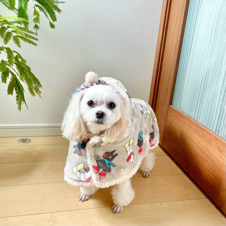 5bdbcff5 cc2e 499f adfa 8897b1caa99b 1642736174641