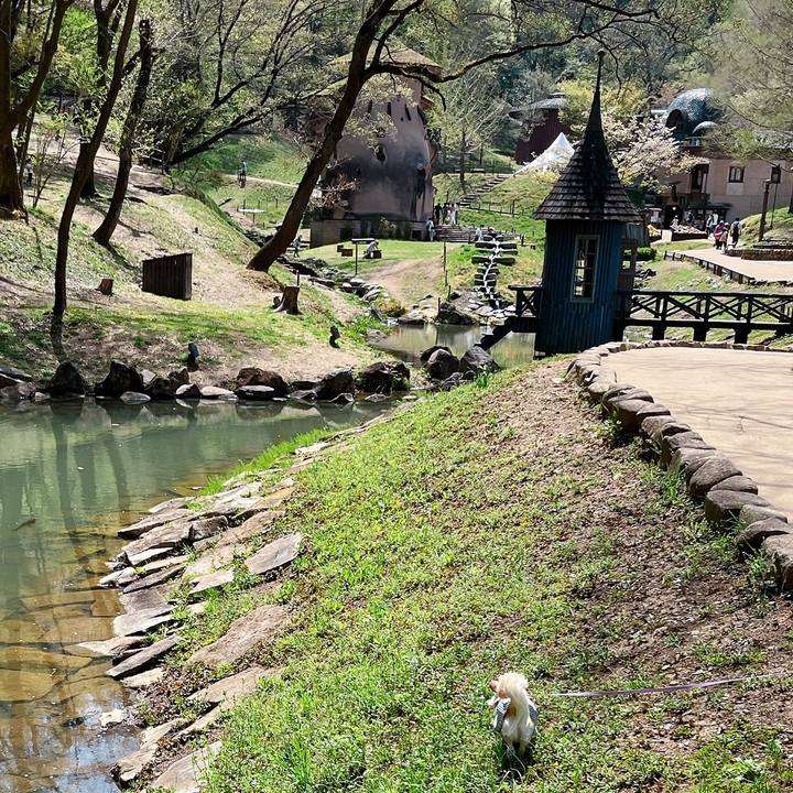 5bdbdeaa 2c0e 452d 9774 964c79592f59 1649577745495