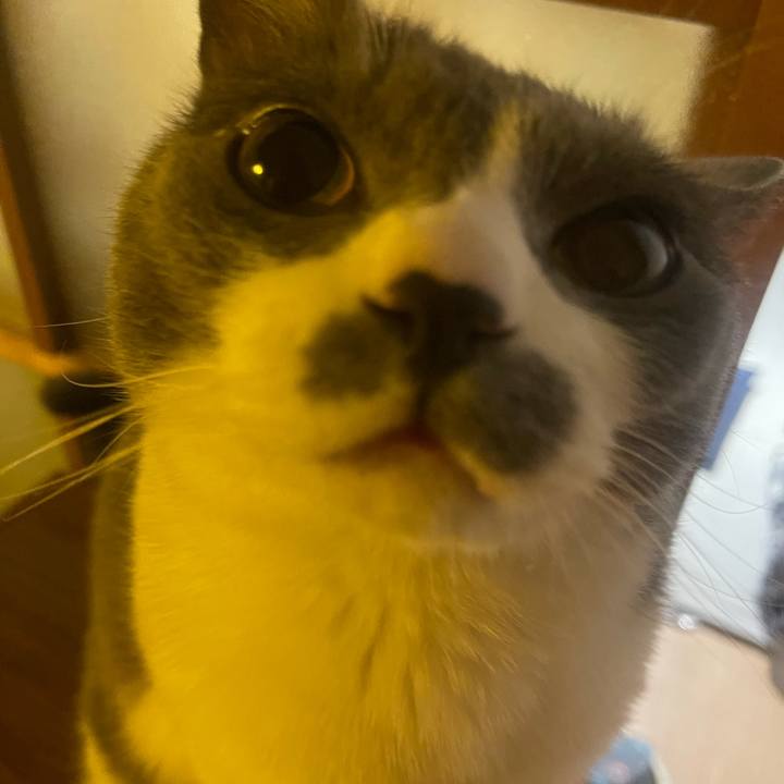 5bdc73d1 1f7e 4a41 aeb7 4cd4f10d7313 1751970814486