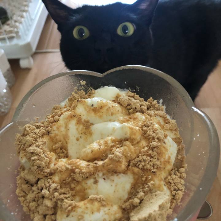 5bdc7d5b ff5f 48b6 a647 93776c89bbea 1569630244864