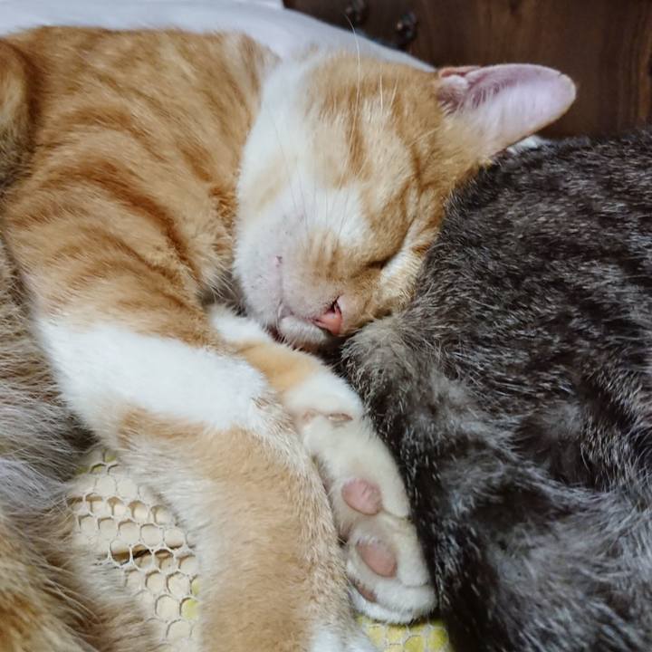 5bdc9702 790e 4bcd b05b d05433daf3a1 1568985075708