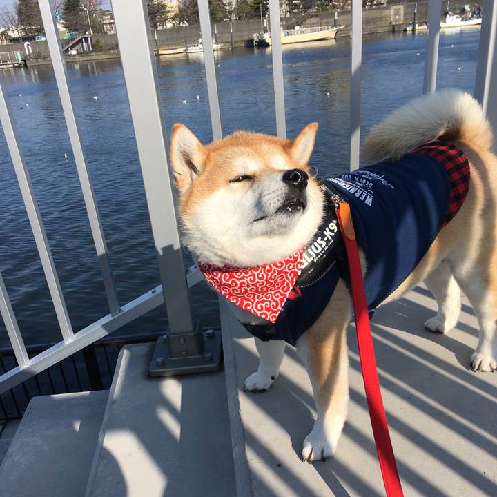 5bdcafda 62d8 4d29 8a37 de630644aa56 1583024180591