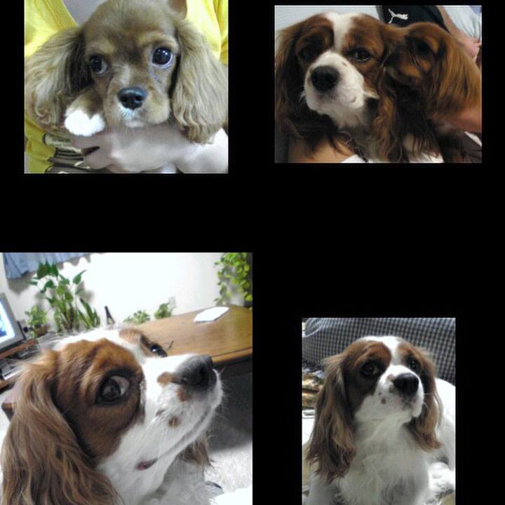 5bdcc972 7267 4772 901b 2111974093e4 1511965578200