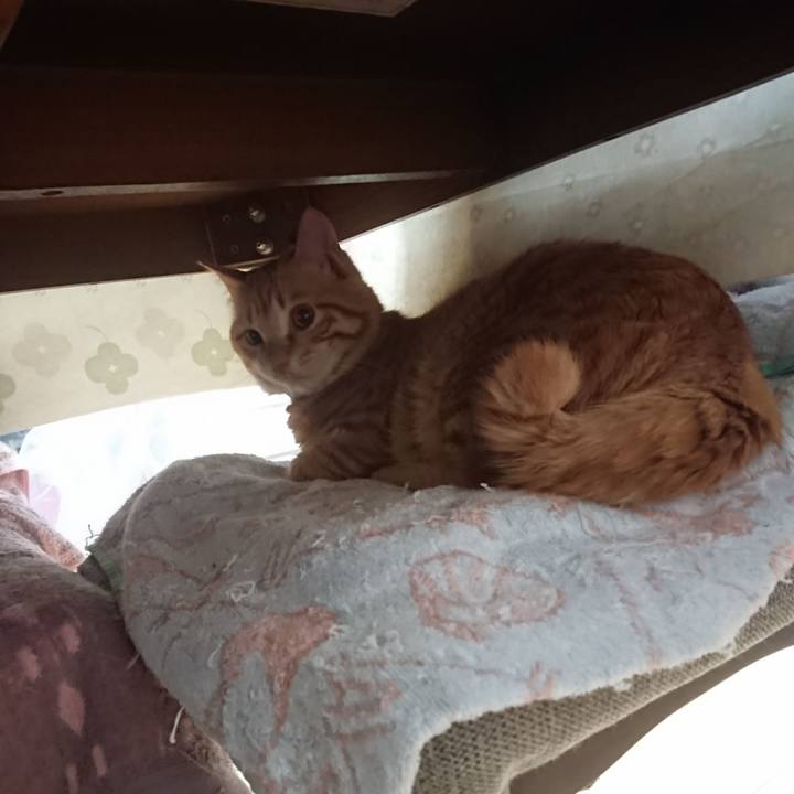 5bdcfc15 a9a8 4646 9655 60328493b61b 1645134111328