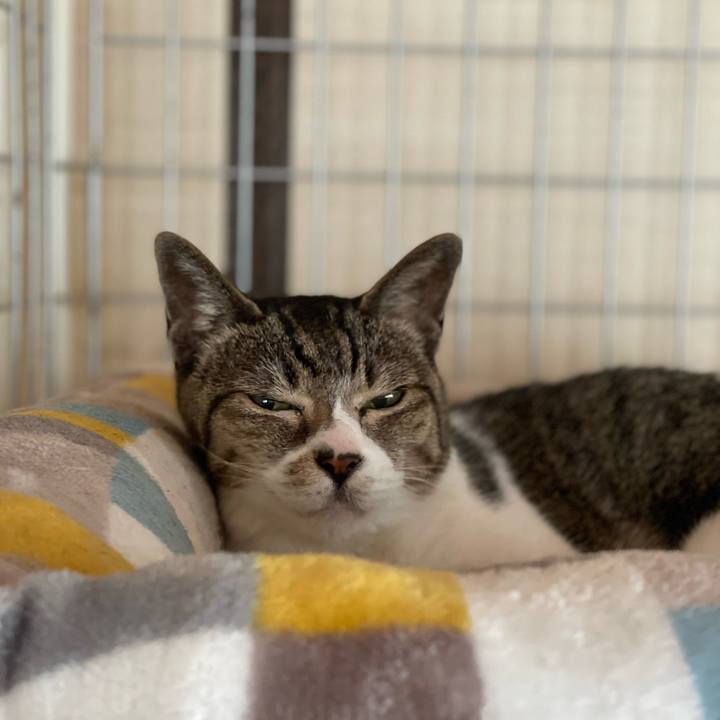 5bdd205b 7639 4b8a bfb3 d886613162e2 1656209491359