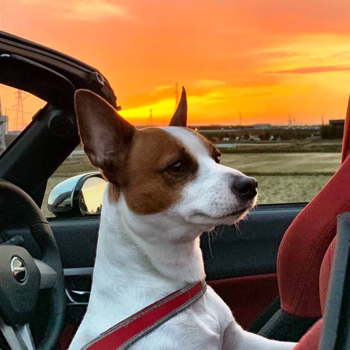 5bddc8a0 806b 410f 8019 906f16dc56f8 1551087950865