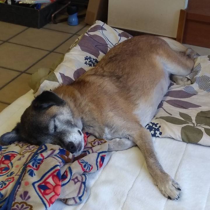 5bddd8d1 a796 441a 8beb 3270fcdbd6a5 1573463796553