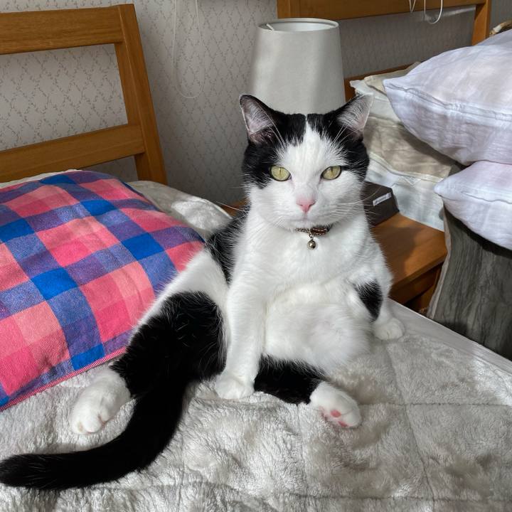 5bddeddc cafa 4f44 9ee5 d608399ab266 1764284689341