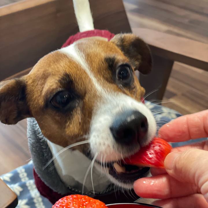 5bddfde0 54d8 42c7 97e9 390904d400c0 1641772845328