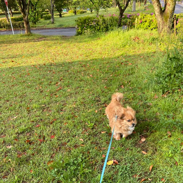 5bde3b02 692b 4b93 93a3 fa589637b29a 1619734633114