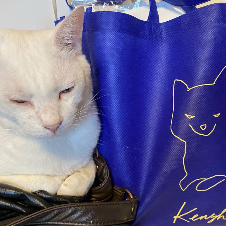 5bde4400 5f79 4f4f bf28 41fc23b41852 1597569804218