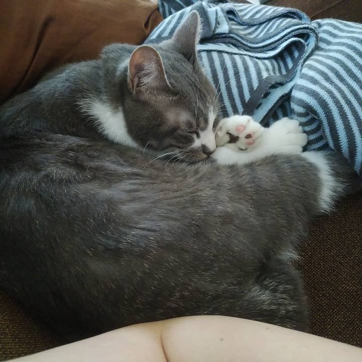 5bde74d0 1d74 441b ad22 0234e513aac4 1591689519585