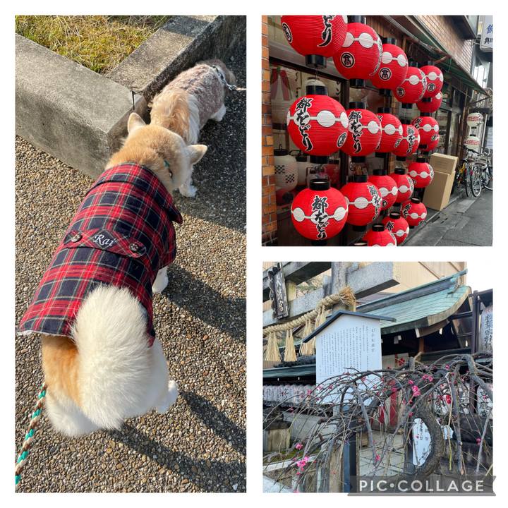 5bde9d03 f164 4d04 aed9 3b7b54d53250 1677311472494