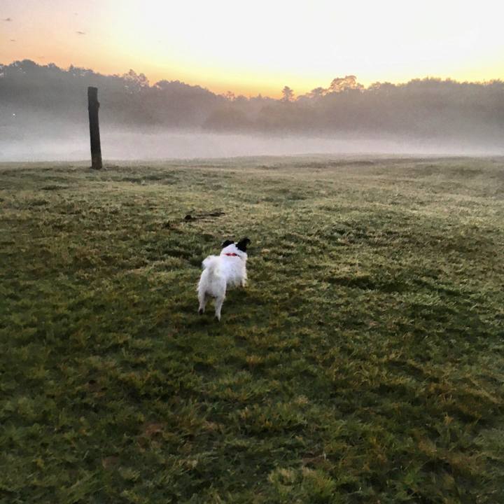 5bdea5a3 b9ca 47ed bb2b b6d94ae6f247 1510783658289