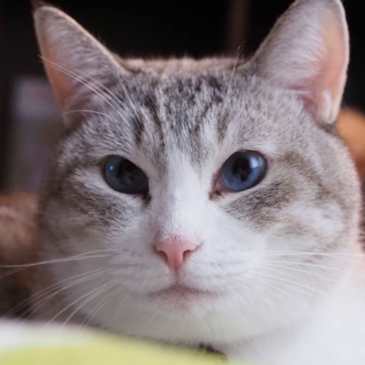 5bdea71c 7824 4a21 b216 6dc47efd84cf 1604487531893