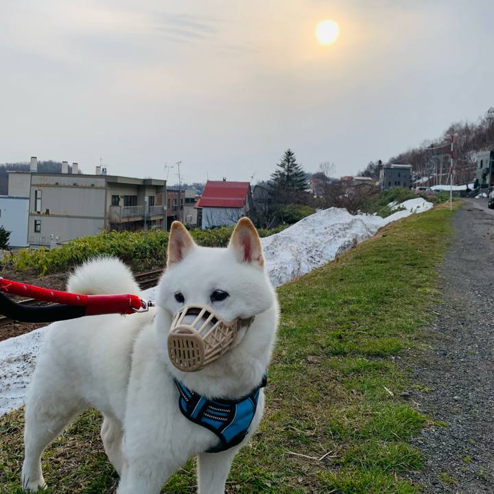 5bdee671 776a 4d8e 884d f9db401c07f1 1680645779458