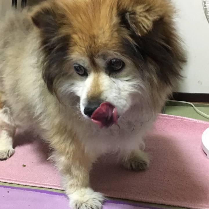 5bdef96e 5a78 4d43 abf5 f23b6f2f89d7 1597025317944