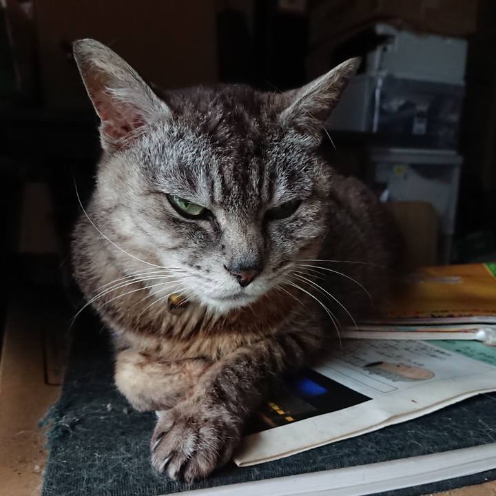 5bdf08ef 8ec4 432d b31b 144339a41b31 1563605579778