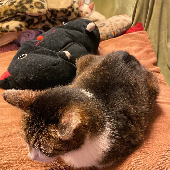 5bdf36a8 5c37 411d 94b9 b5ec925713e4 1575545447040