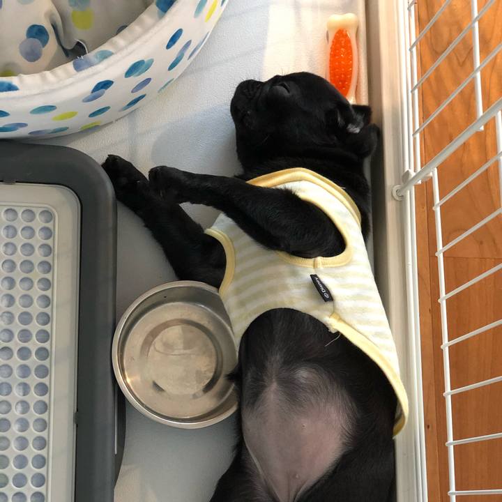 5bdf3ac9 ef89 454a 990e ceaddd91aacf 1621394869067