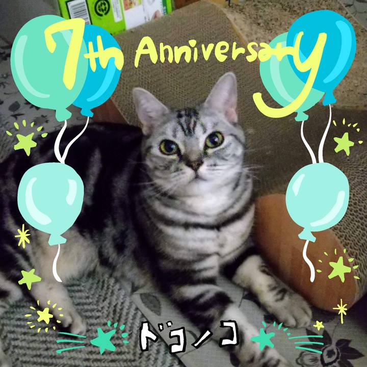 5bdf5360 e6cc 4ad6 9f58 a7aab649533b 1686000072977