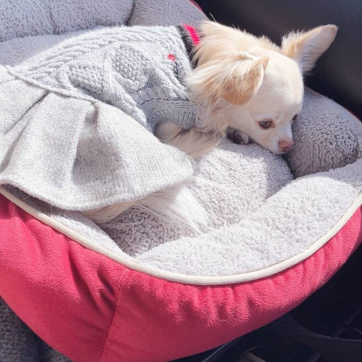 5bdf8910 e82a 4604 b911 d55a625d8bec 1739714137706