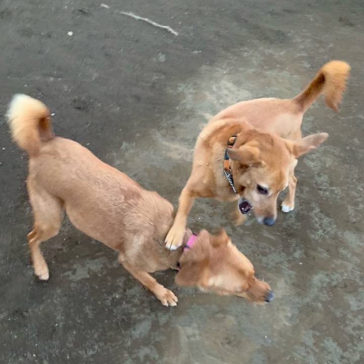 5bdf9192 14af 4f01 8f5c 761192b1851f 1581408531632