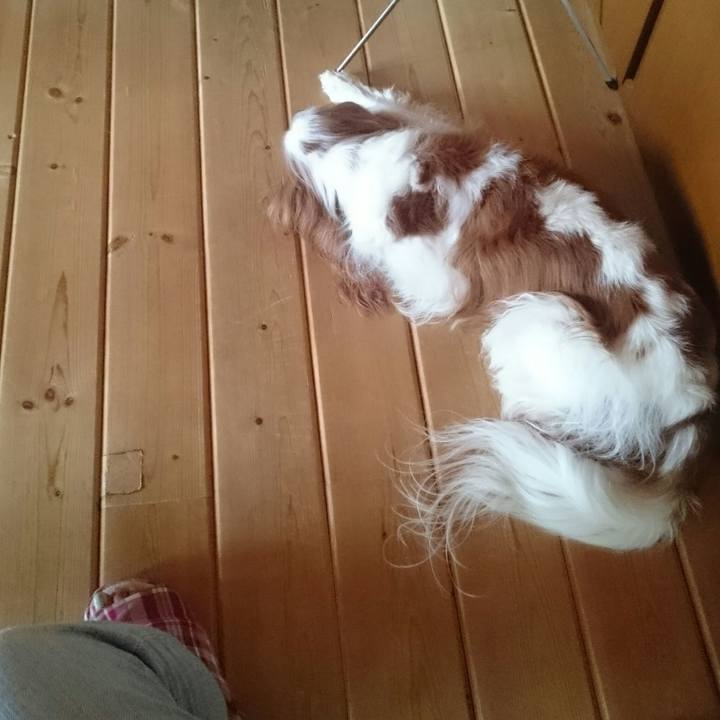 5bdf9b6a 2d98 4b3b 9a8f b5cb554f5bc1 1535155944186