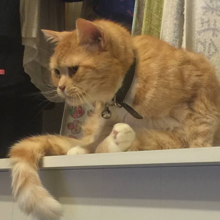 5bdfac19 b8eb 479a 96d4 fc1ff35b5595 1555943000125