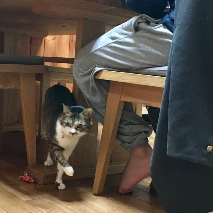 5be00554 8edc 4ec7 802a 868fb50e73c8 1550757538489