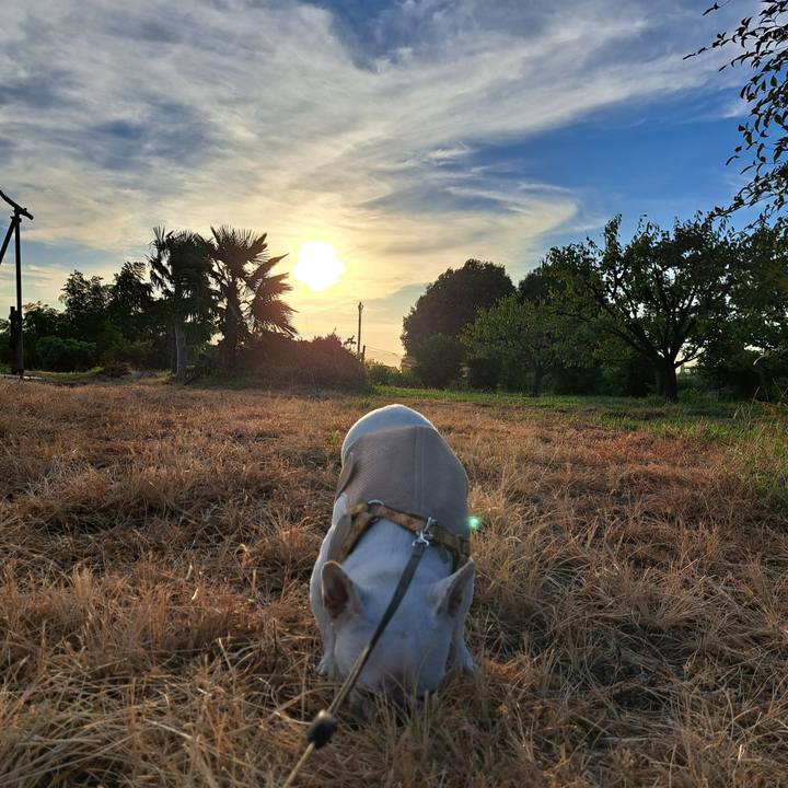 5be00828 4521 45fe 9f97 9ec72a165605 1690711882229