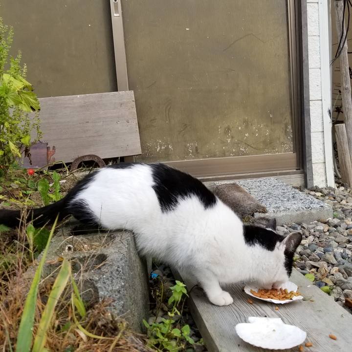 5be020e4 55ab 4838 8074 3dd501e1d2b7 1570750845158