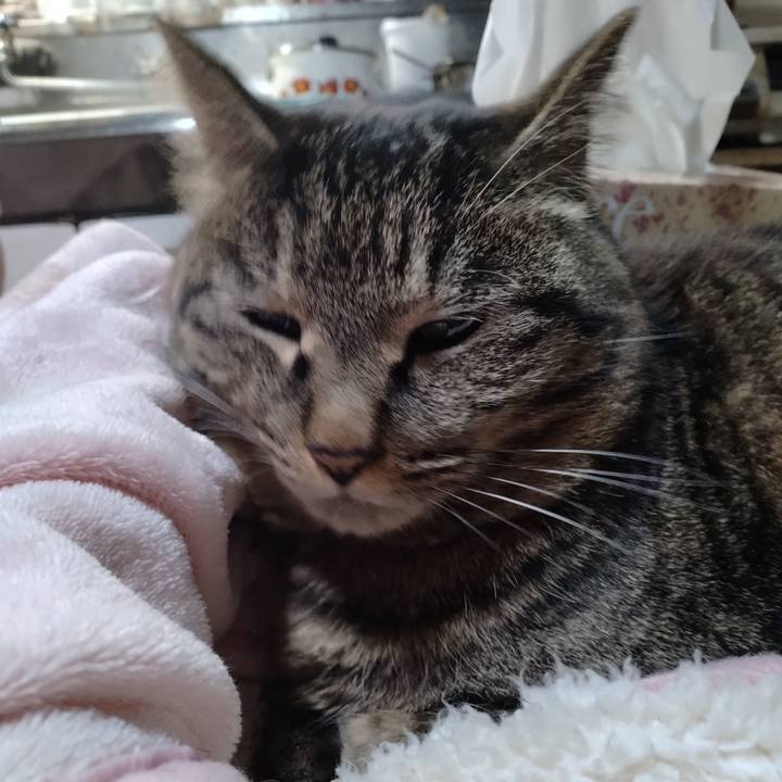 5be02614 9735 4cfd a72a 7345f5e1ade4 1677241233812