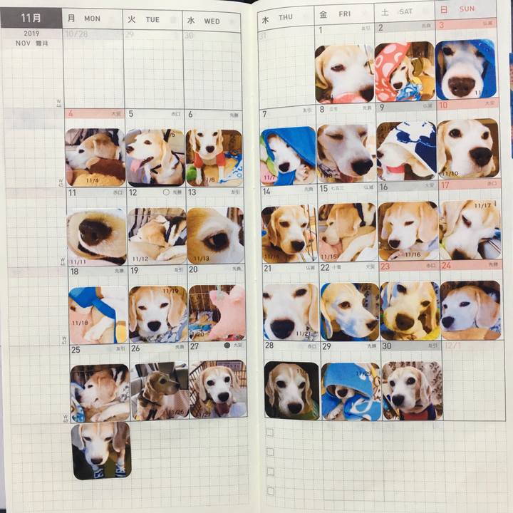 5be0401a 0251 4c5d abbf 27d5beea75bd 1575987833086