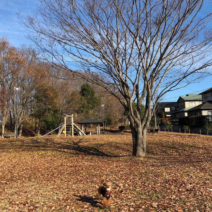 5be04512 4399 4e6b b726 5303df4f0b61 1545274095193