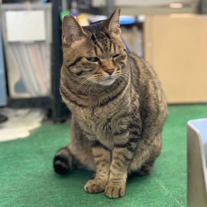 5be0a100 34ec 4595 95f9 7b8aa3a81d40 1582328420357