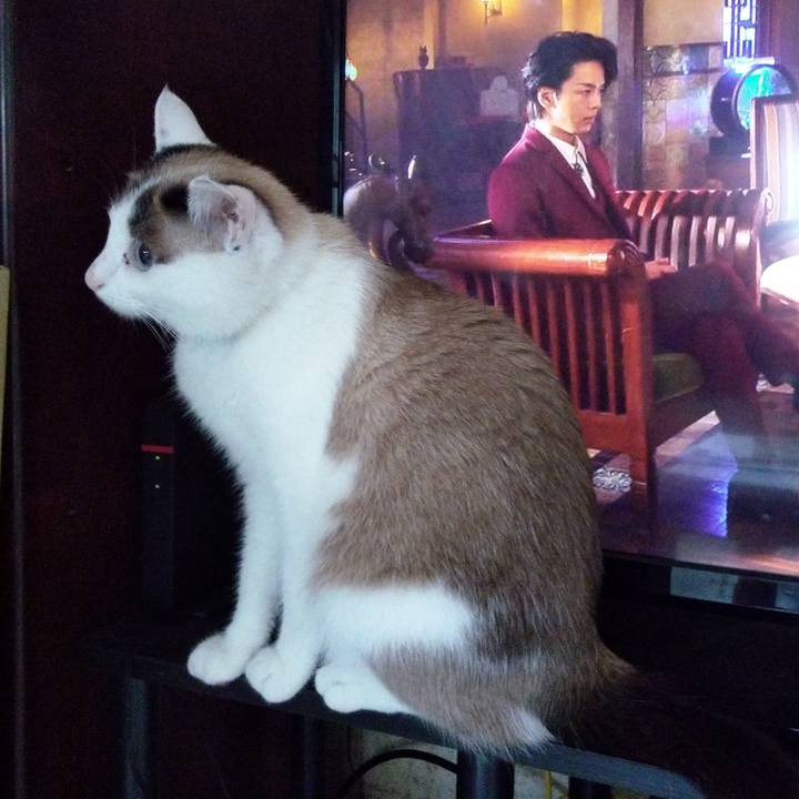 5be0bd06 adef 4bc1 9788 63a775ed3ccf 1593856231592