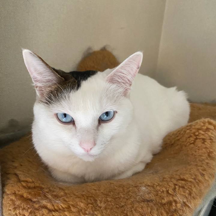 5be0f4fe eb05 4968 b9ab 7e7b7ad8cb61 1666911788424