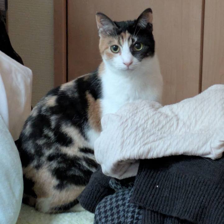 5be13de1 5b1c 43df bb4b 2d24a3a30307 1762515512765