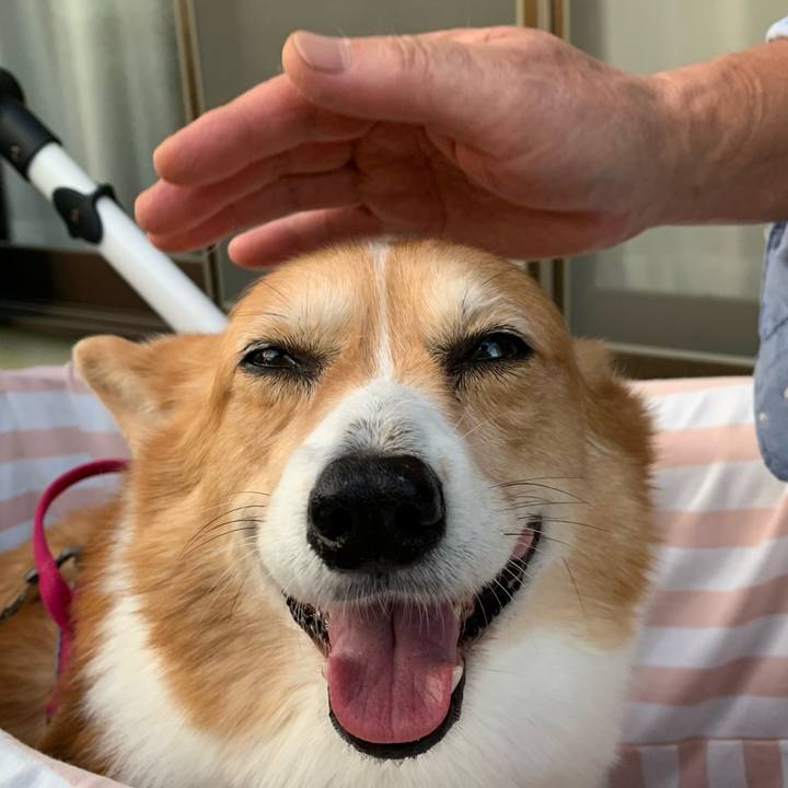 5be13e93 1c9d 4d93 a353 6593840c256b 1698046934828