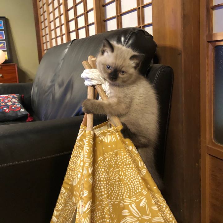 5be14c87 2fad 49cf 89f1 c470cdd3df53 1584918505864