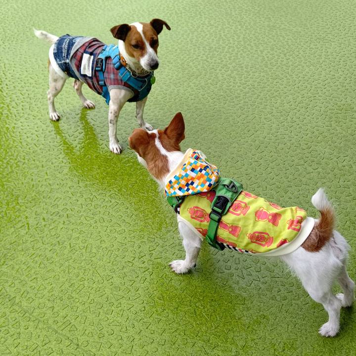 5be151d4 0981 4e8d 9d23 dc982f38e624 1621581711012